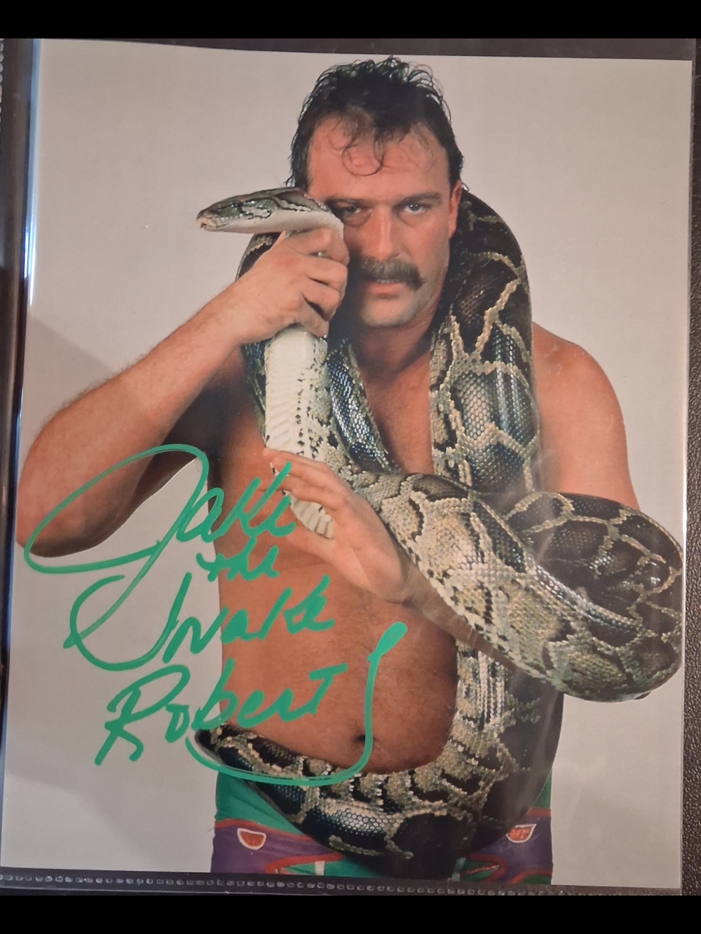 Jake The Snake 8x10 Authenticated Autographed Photo